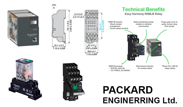 Project Detail